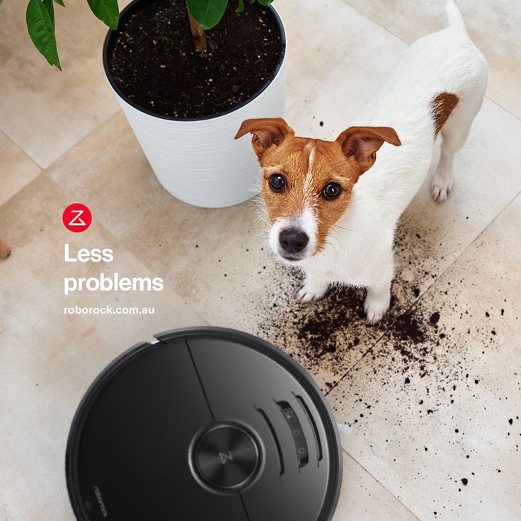 Automatic Sweeping Robot روبوت كنس أوتوماتيكي